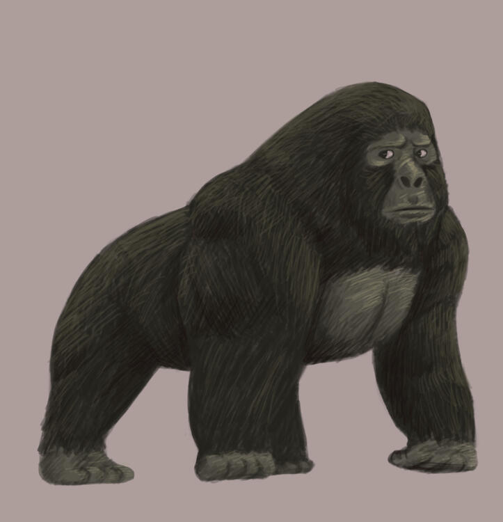 Digital Colored Pencil Exercise